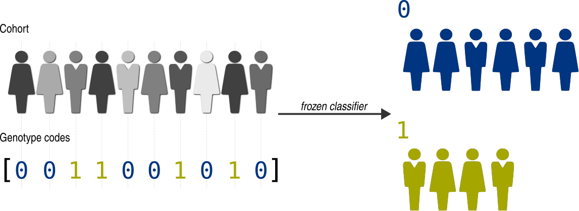 Frozen classifier