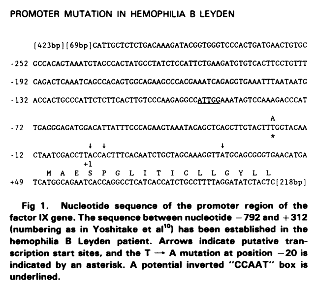 The 5' UTR Structure
