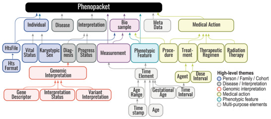 Phenopacket Schema